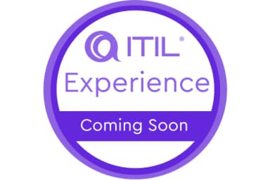 ITIL® Experience (Version 5)