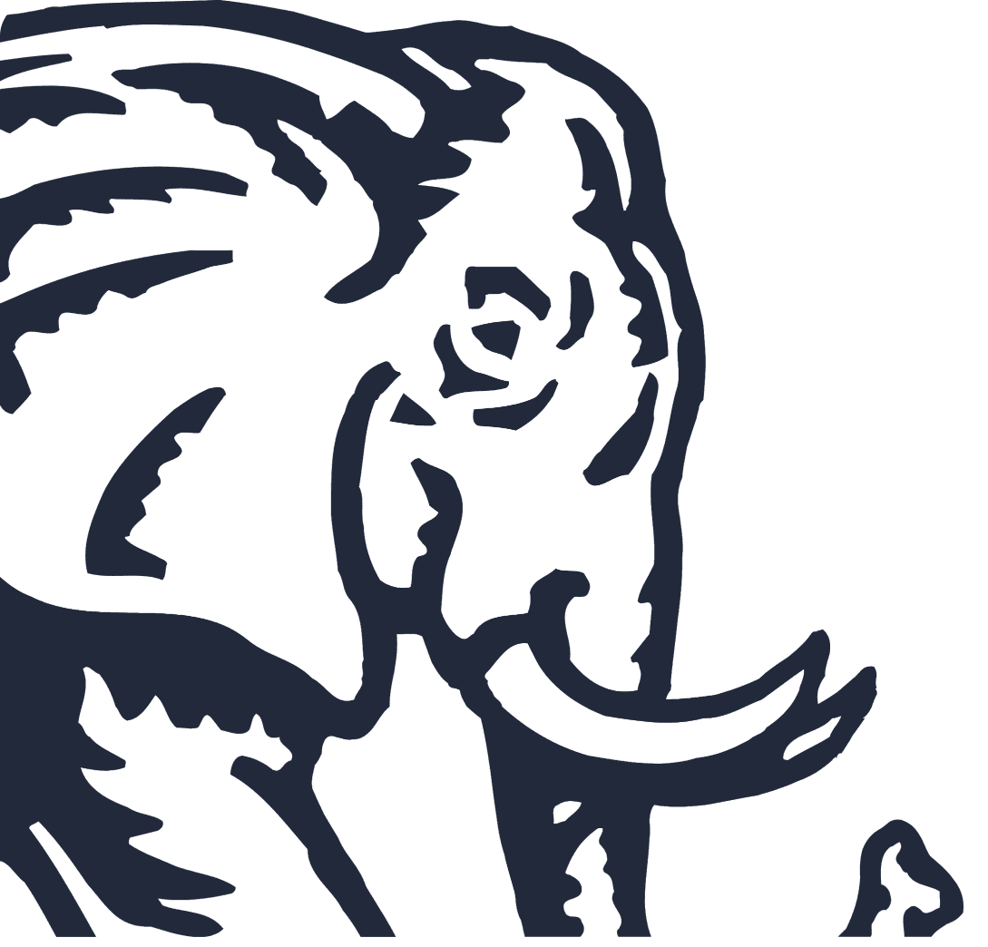 Pink Elephant Background